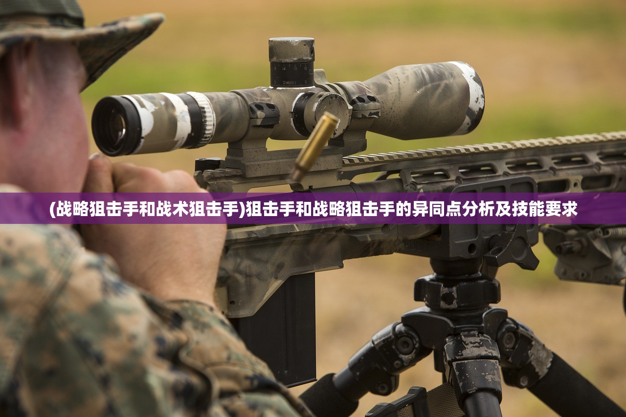 (战略狙击手和战术狙击手)狙击手和战略狙击手的异同点分析及技能要求