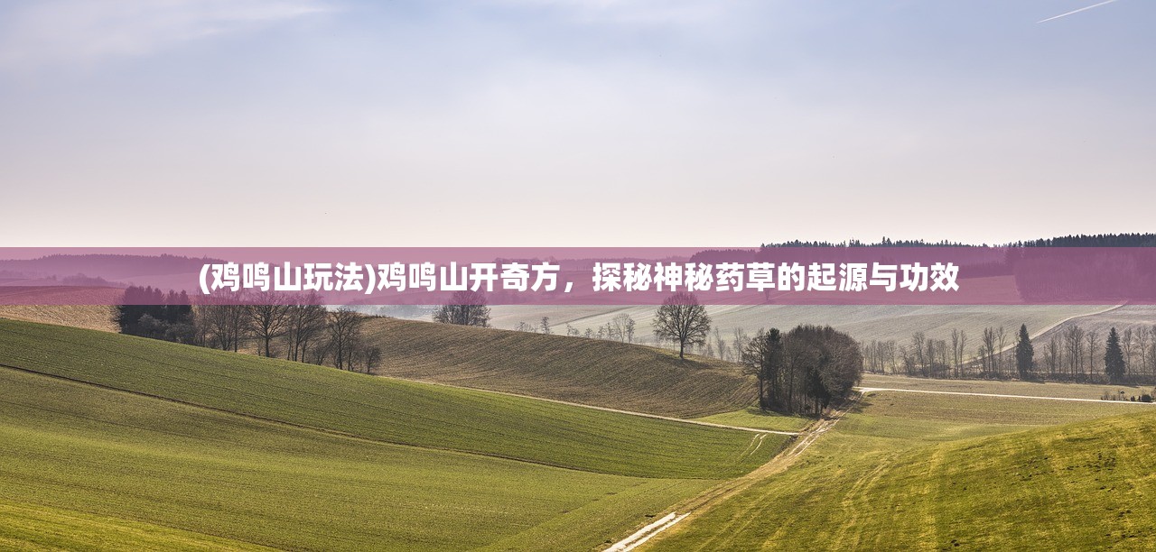 (鸡鸣山玩法)鸡鸣山开奇方，探秘神秘药草的起源与功效