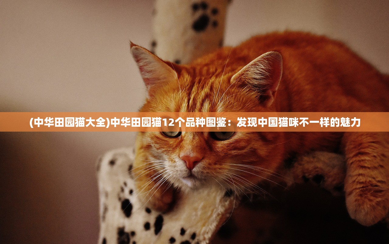 (超能精英割草手游官网)超能精英割草手游，深度分析与探索