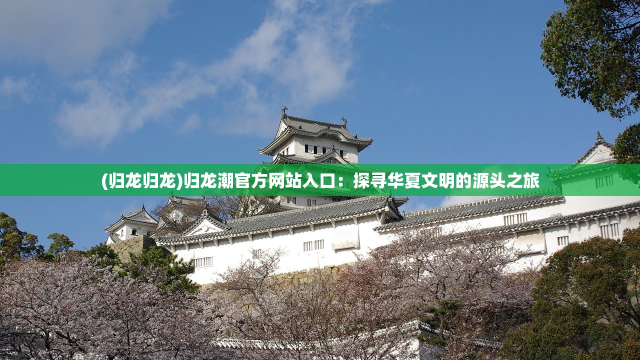(归龙归龙)归龙潮官方网站入口：探寻华夏文明的源头之旅