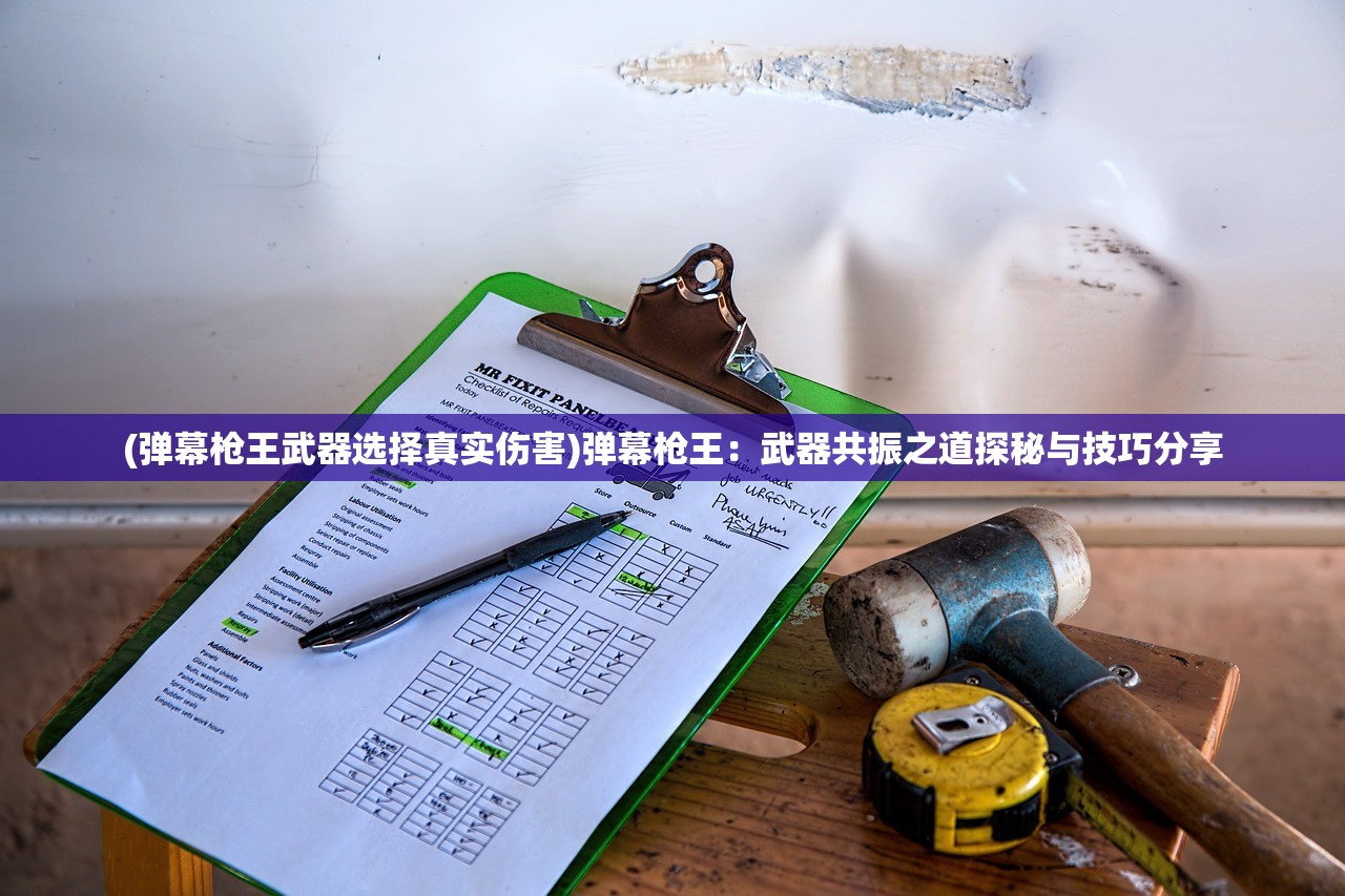 (弹幕枪王武器选择真实伤害)弹幕枪王：武器共振之道探秘与技巧分享