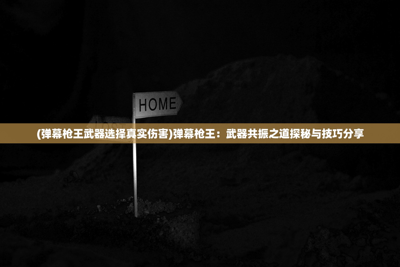 (弹幕枪王武器选择真实伤害)弹幕枪王：武器共振之道探秘与技巧分享