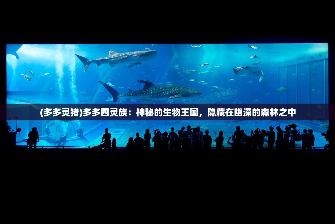 (多多灵猪)多多四灵族：神秘的生物王国，隐藏在幽深的森林之中