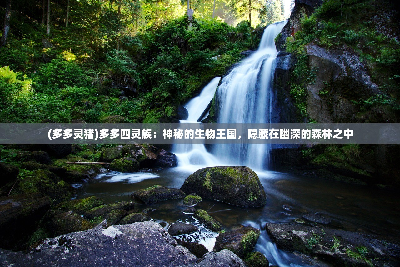 (多多灵猪)多多四灵族：神秘的生物王国，隐藏在幽深的森林之中