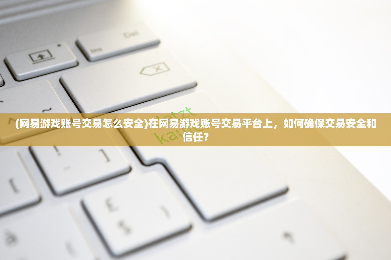 (网易游戏账号交易怎么安全)在网易游戏账号交易平台上，如何确保交易安全和信任？