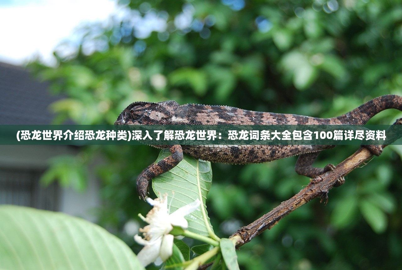 (恐龙世界介绍恐龙种类)深入了解恐龙世界：恐龙词条大全包含100篇详尽资料