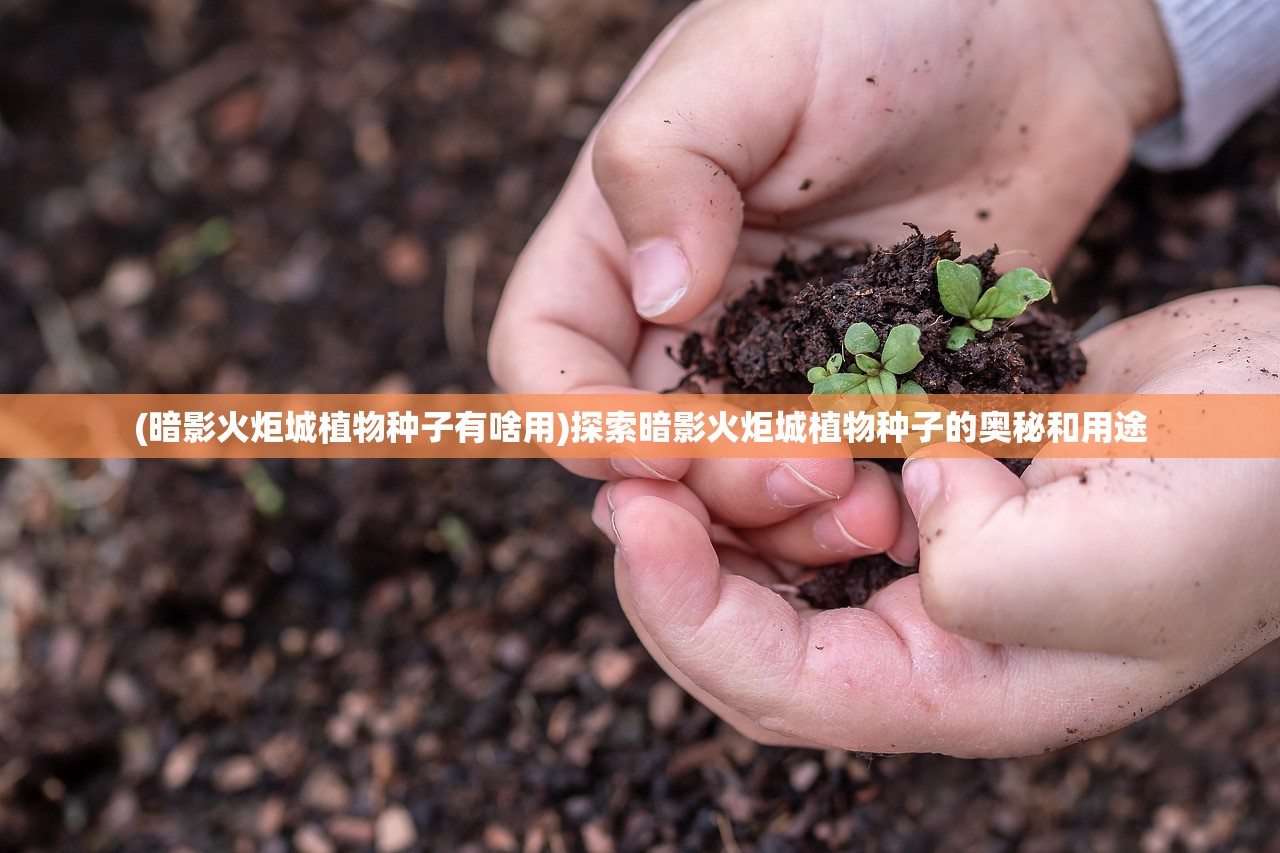 (暗影火炬城植物种子有啥用)探索暗影火炬城植物种子的奥秘和用途