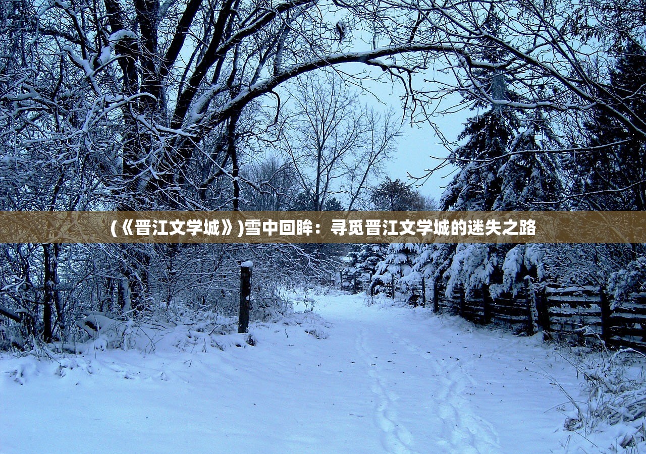 (《晋江文学城》)雪中回眸：寻觅晋江文学城的迷失之路
