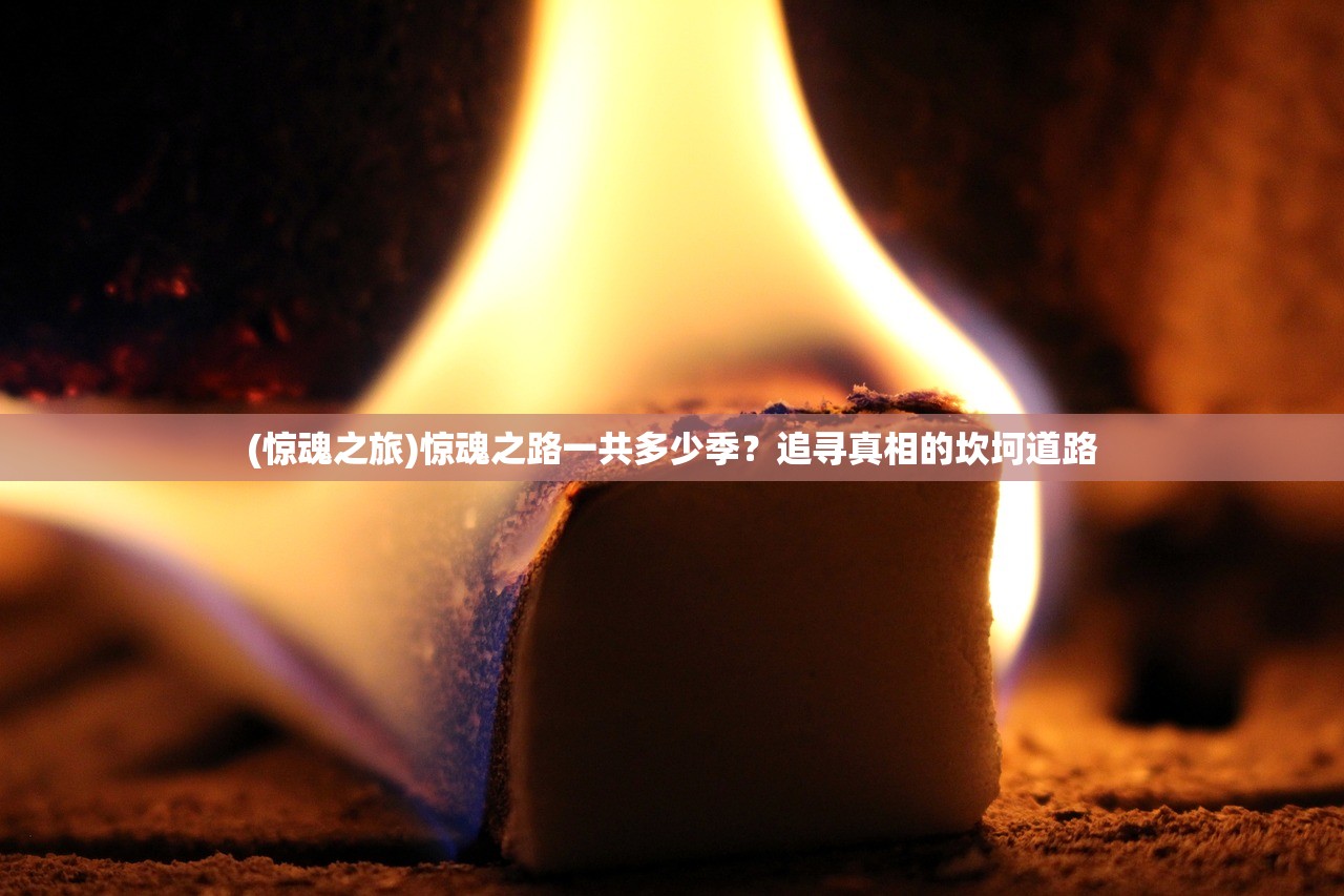 (惊魂之旅)惊魂之路一共多少季？追寻真相的坎坷道路