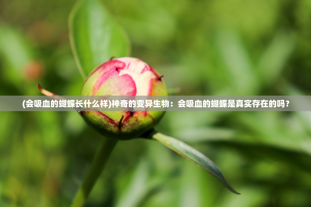 (会吸血的蝴蝶长什么样)神奇的变异生物：会吸血的蝴蝶是真实存在的吗？
