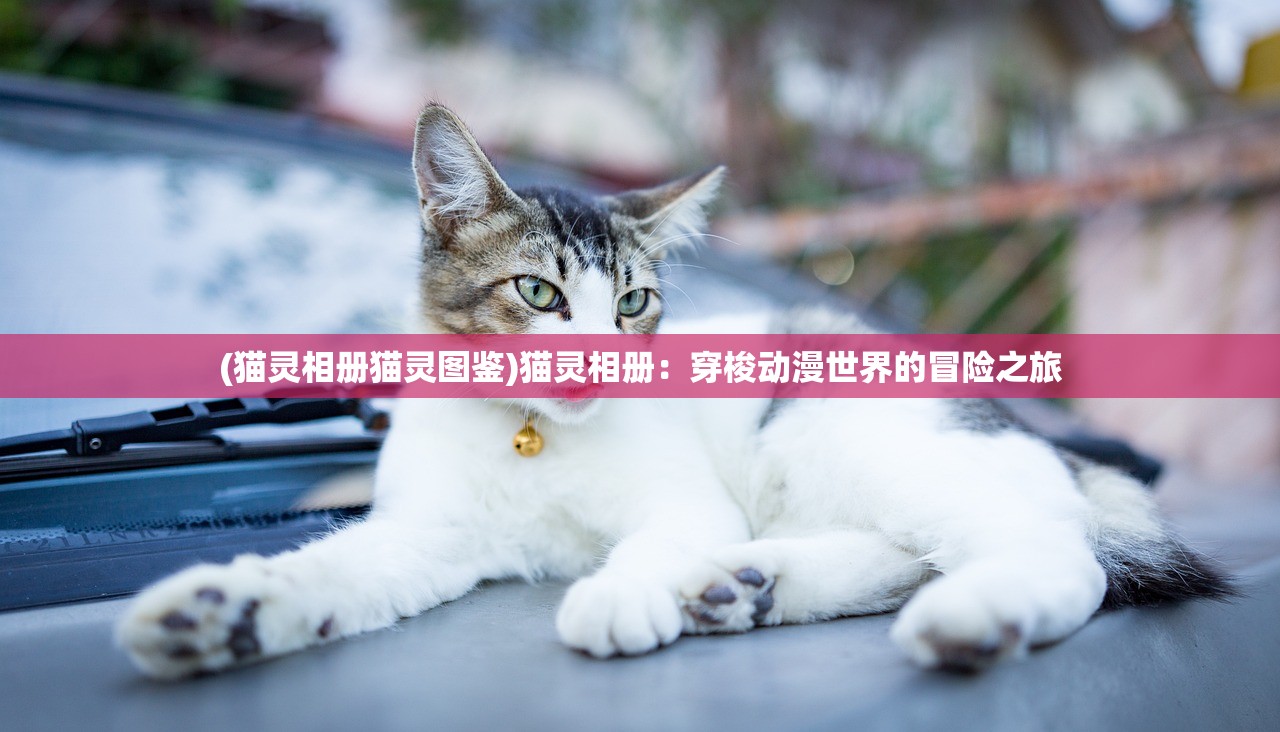 (末日指挥官查尔斯装备)末日指挥官查尔斯，英雄崛起与战略解析