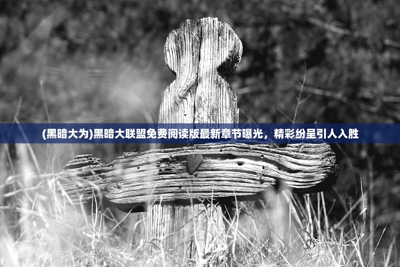 (黑暗大为)黑暗大联盟免费阅读版最新章节曝光，精彩纷呈引人入胜