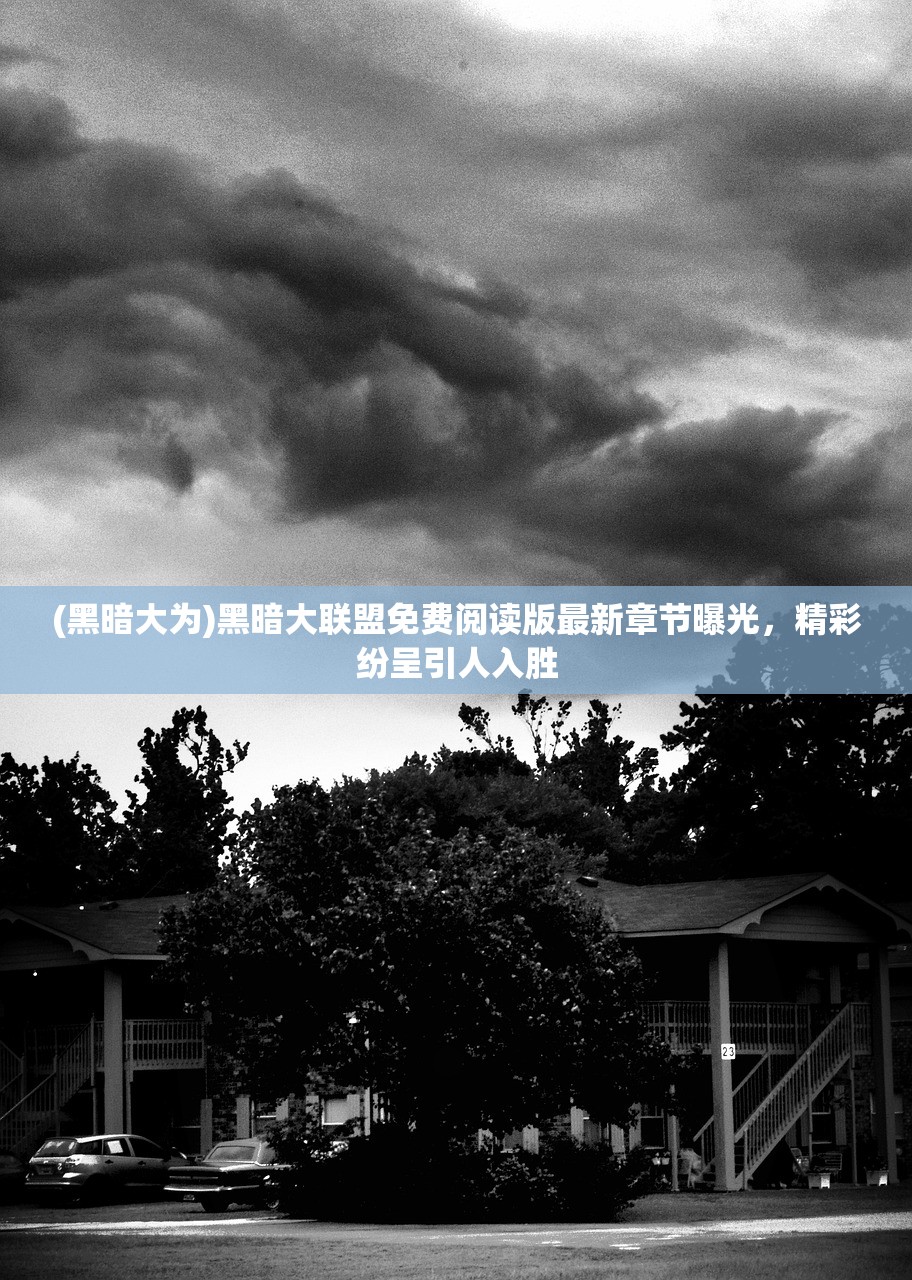 (黑暗大为)黑暗大联盟免费阅读版最新章节曝光，精彩纷呈引人入胜