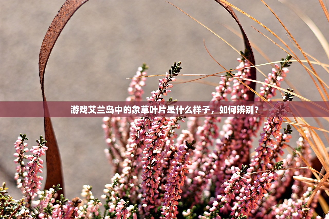 (九游会j9官网登录入口)九游网官方网站入口，游戏爱好者的首选之地