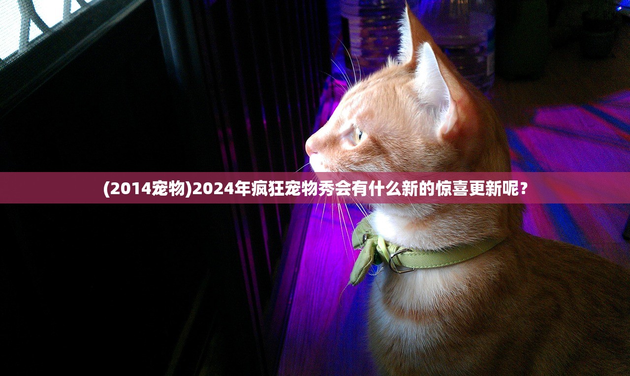 (传奇演义手游攻略)传奇演义手游，重塑史诗的沉浸式体验