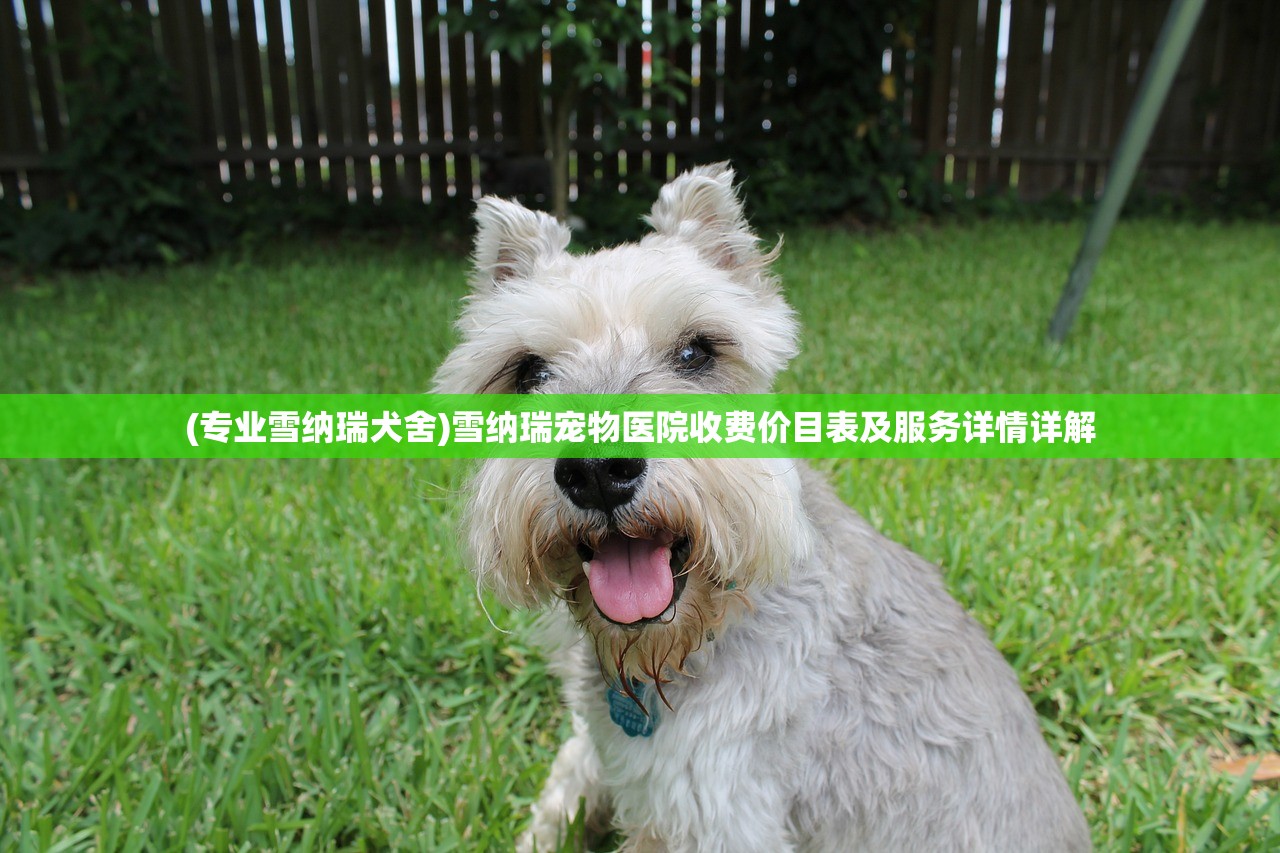 (魔灵时代手游官网)魔灵时代手游，引领新时代的魔幻冒险之旅