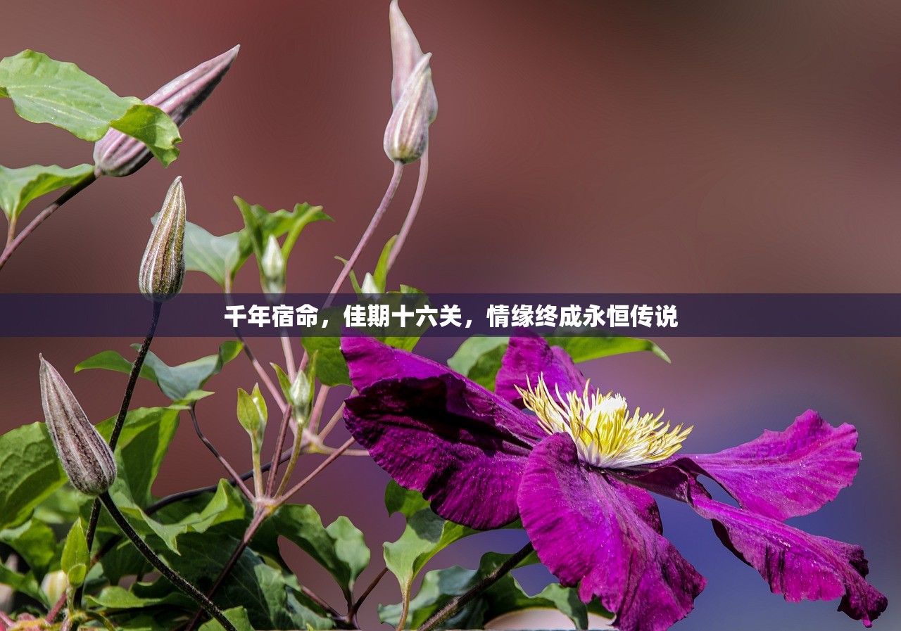 (修肝是什么意思)修个肝仙不减反增版，游戏玩家的新福音？