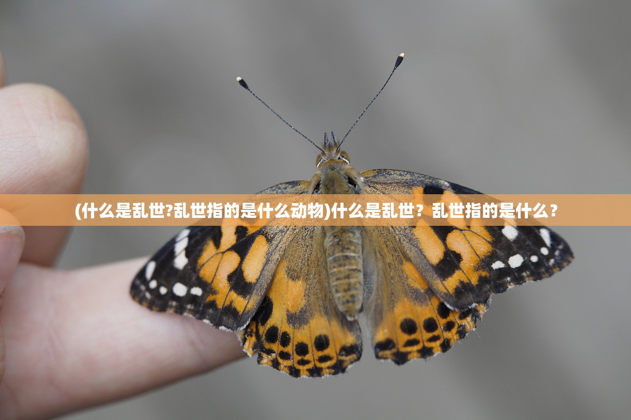 (点点勇士能提现吗)点点勇者无限钻石版，无需登录，尽享勇者冒险之旅！