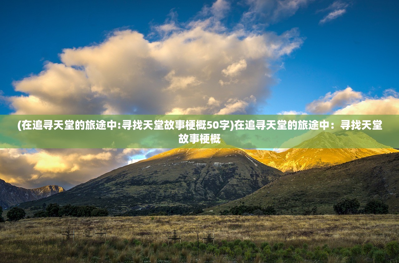 (在线观看电视连续剧代号)代号白免费完整版中文，深度探索与常见问题解答