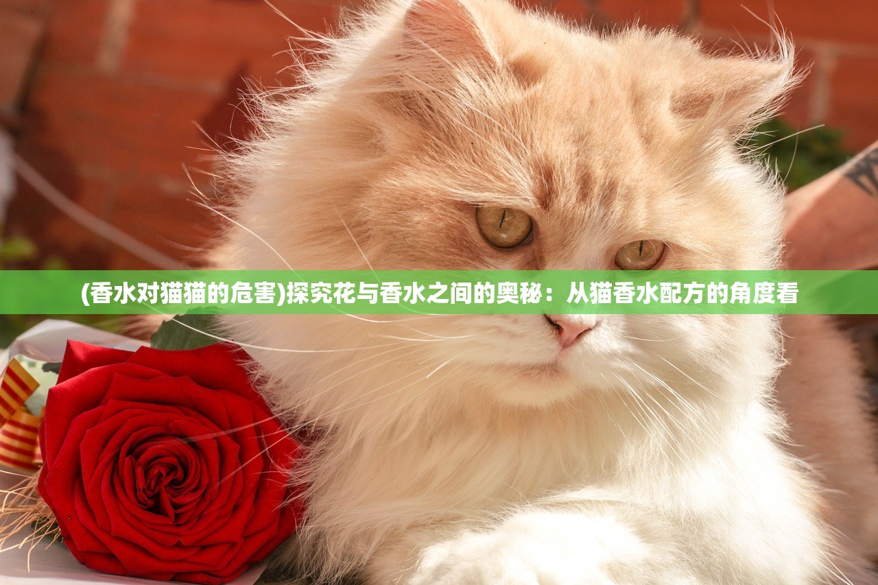 (人生重开模拟器修仙版入口)人生重开模拟器修仙版，探寻人生新境界