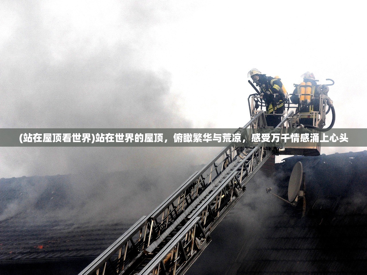 (巴清传是小说改编的吗)巴清传手游改名背后的故事与探索