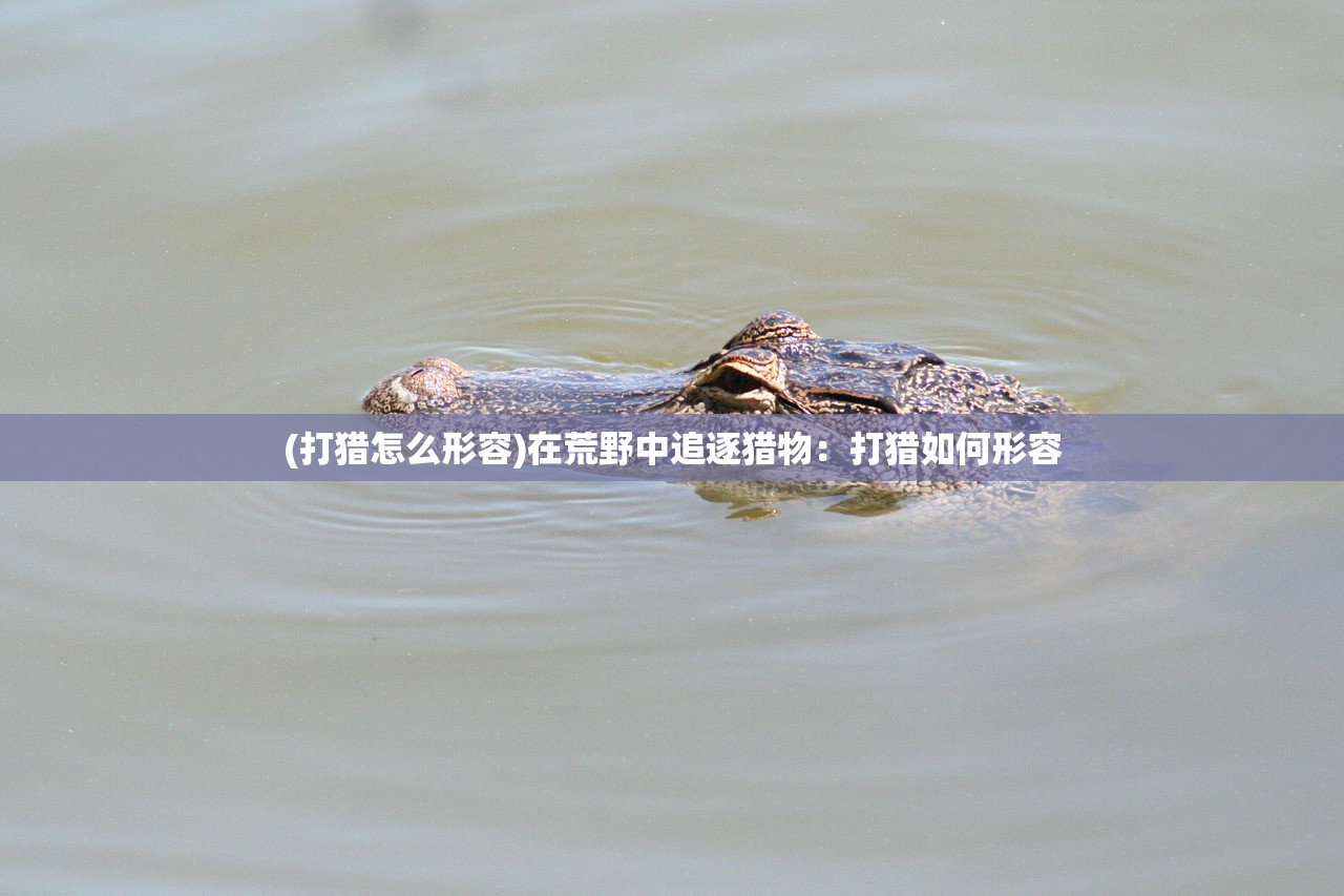 (乱世三国手游官网)乱世三国手游名字揭秘，一款史诗级战略游戏的探索