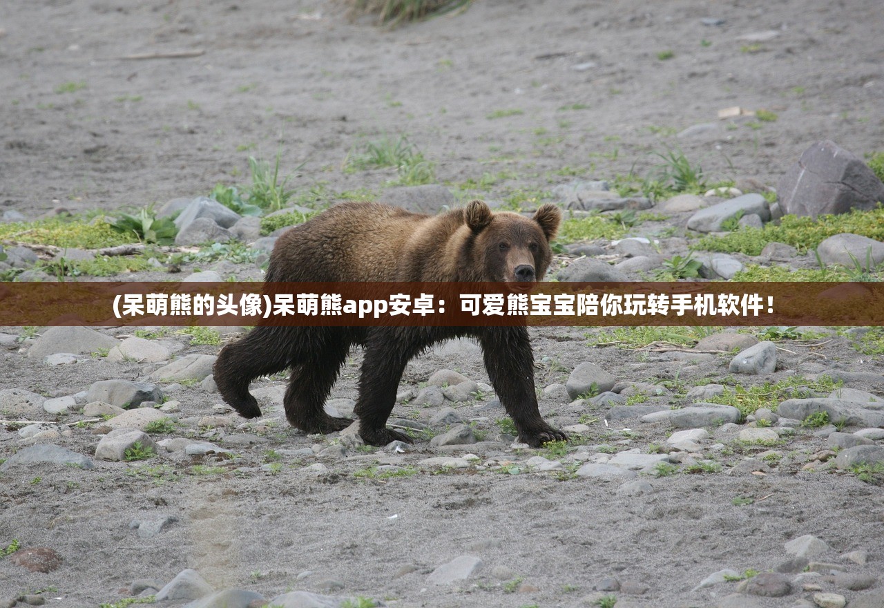 (绝世战魂前传手游礼包码)绝世战魂前传代金券版，游戏新篇章的深度解析与常见问答
