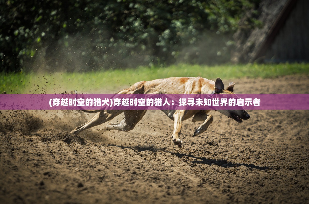 (钢铁佣兵团阵容推荐)钢铁佣兵团阵容，策略与力量分布解析