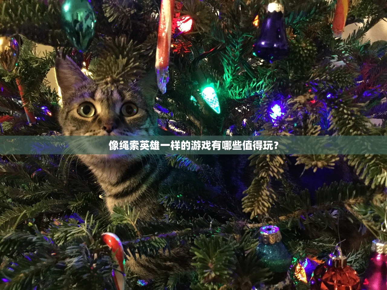 (仙剑奇侠传演员表名单大全)仙剑奇侠传演员群像，从角色塑造到现实人生