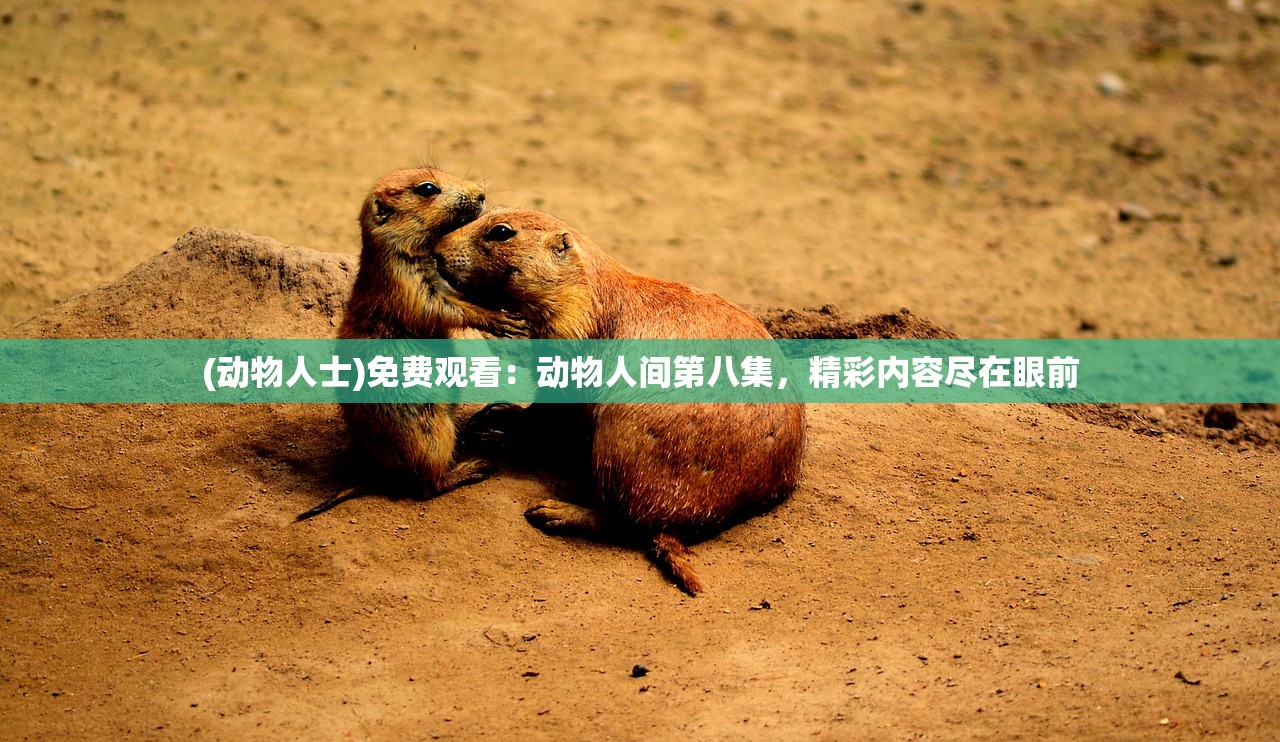 (重要教你解异梦异象)异梦残响是否需要身份证？关于游戏实名认证的探讨
