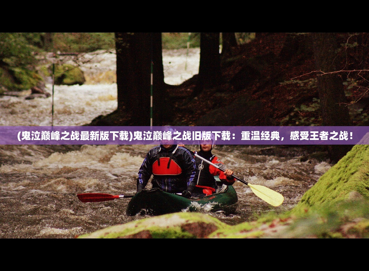 (代号花cv)代号花刺，探寻背后的神秘与魅力