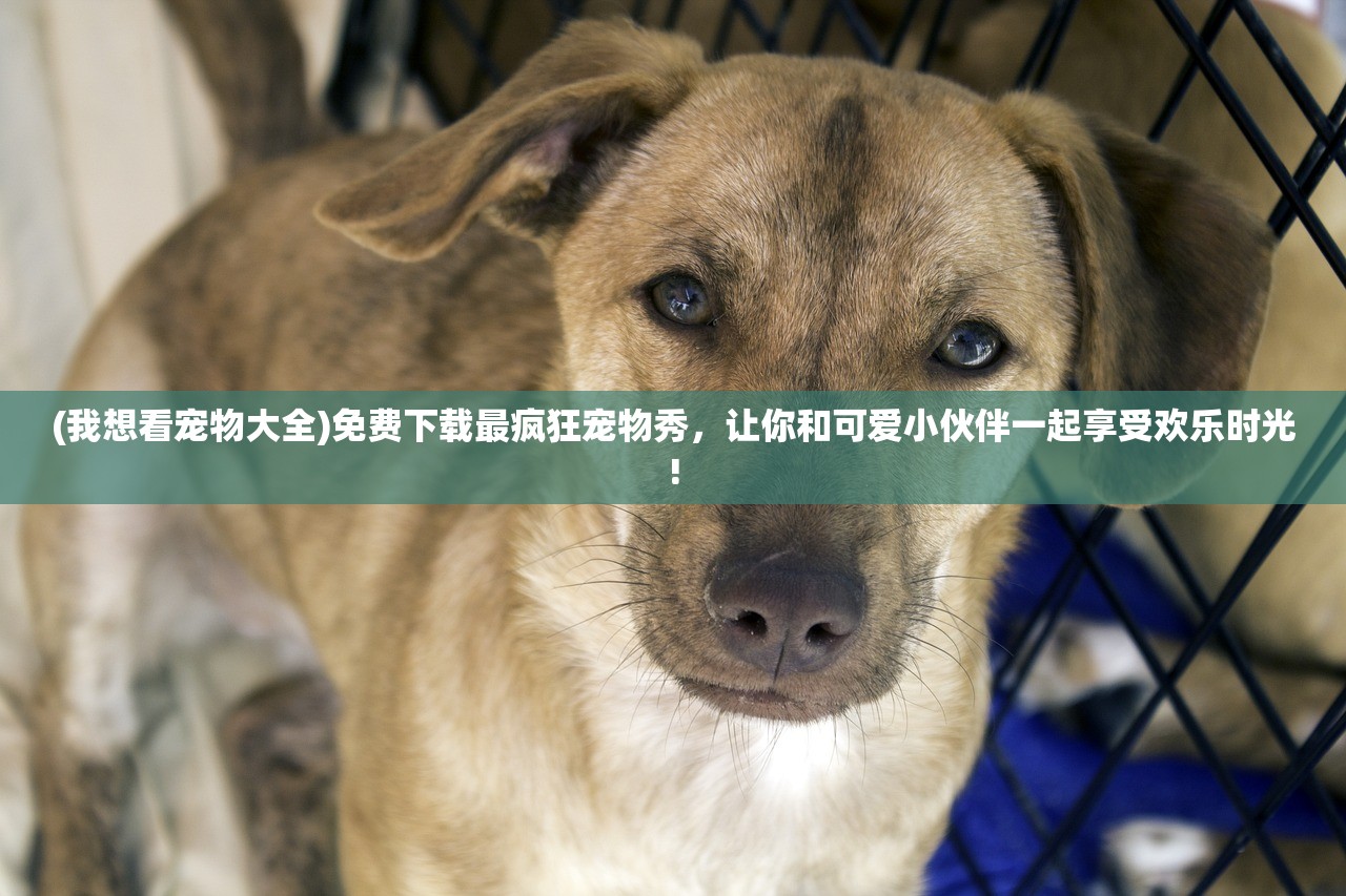 (奥特曼物语古兰特王)物语古兰特王，宇宙霸主的神秘面纱