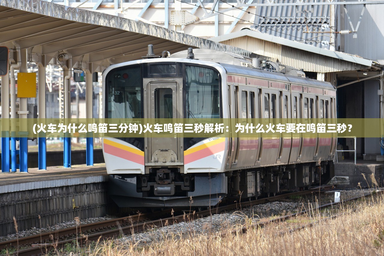 (宋凯峰个人简历)宋凯结束欧洲考察之旅，抵达厦门，深度分析与观察