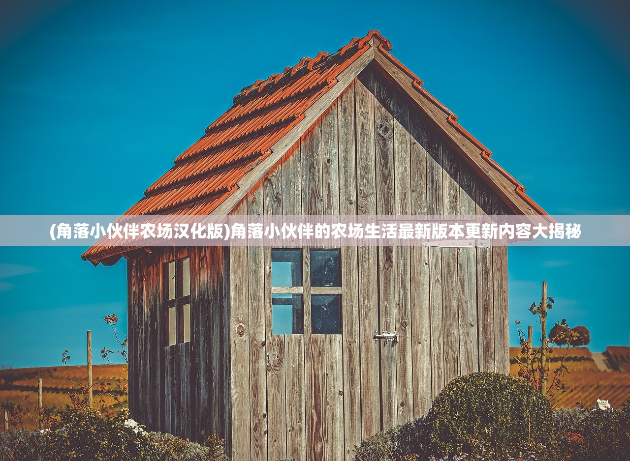 (混沌是什么游戏?)混沌挂机真名揭秘，探索背后的神秘面纱