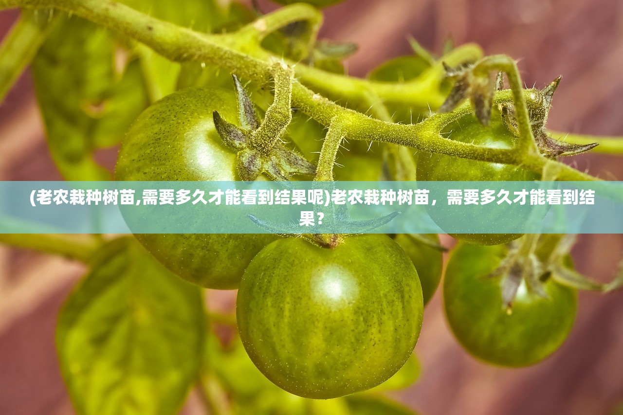 (《斗罗大陆》 神界传说)斗罗大陆神界传说，神秘的传说与丰富的世界观