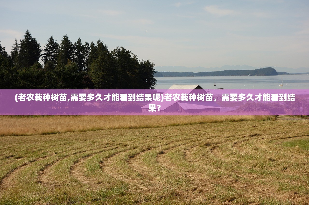 (佩奇摩登商店破解版)佩皮摩登商店解锁版免费，全新体验等你来