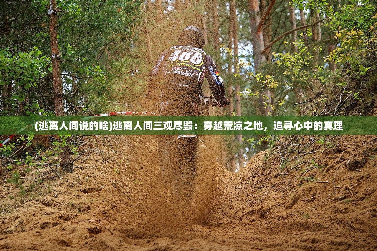 (无尽的拉格朗日安装失败)无尽的拉格朗日电脑版安装指南