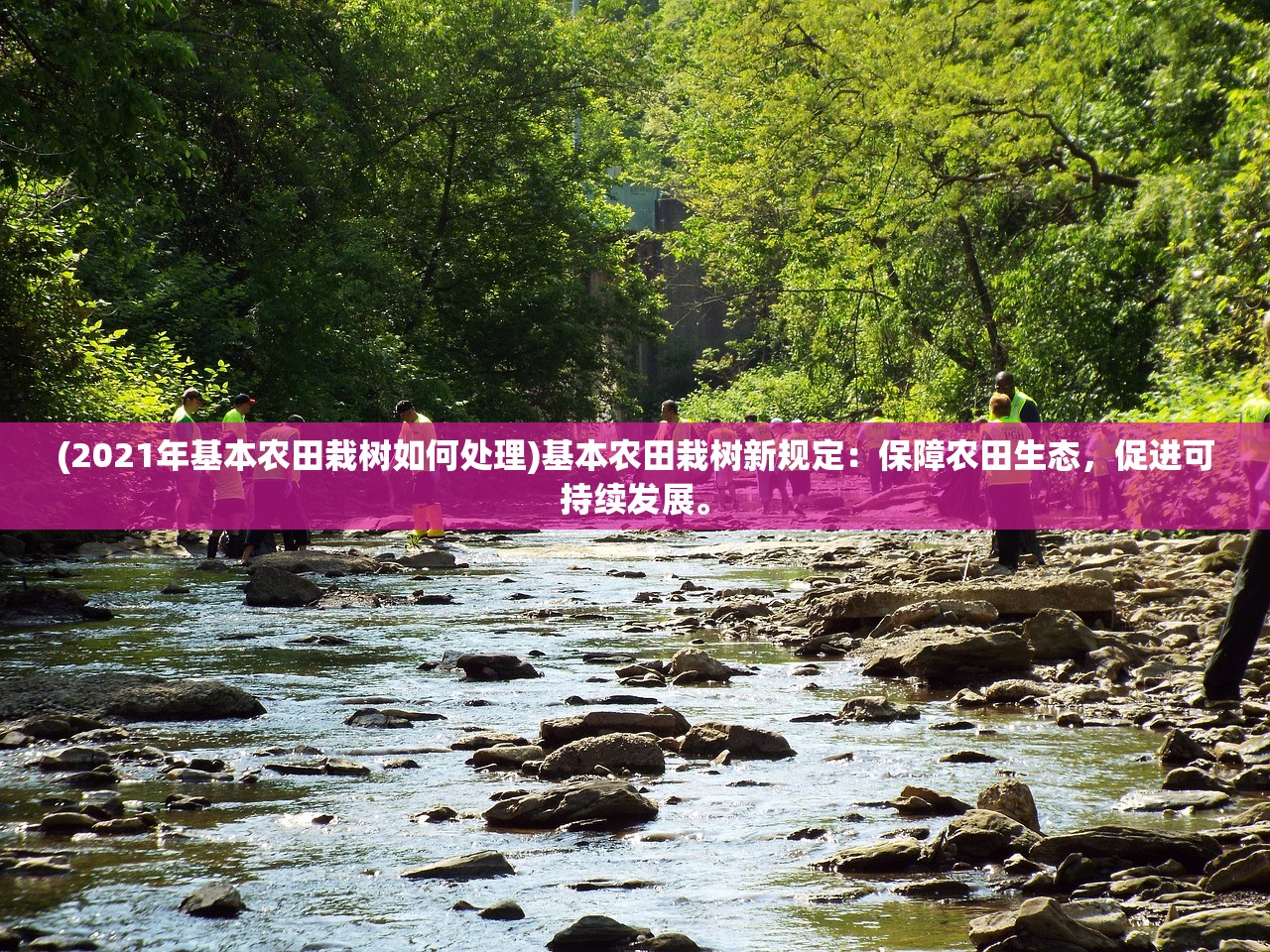 (基因雨风塔评测)基因雨与基因雨风塔，是同一款游戏吗？