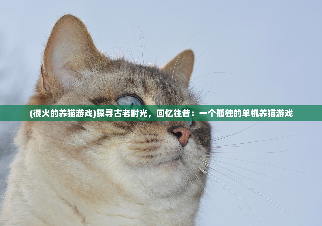 (有一个08年玩的江湖ol神装魔)重温江湖OL，那些年我们共同走过的岁月