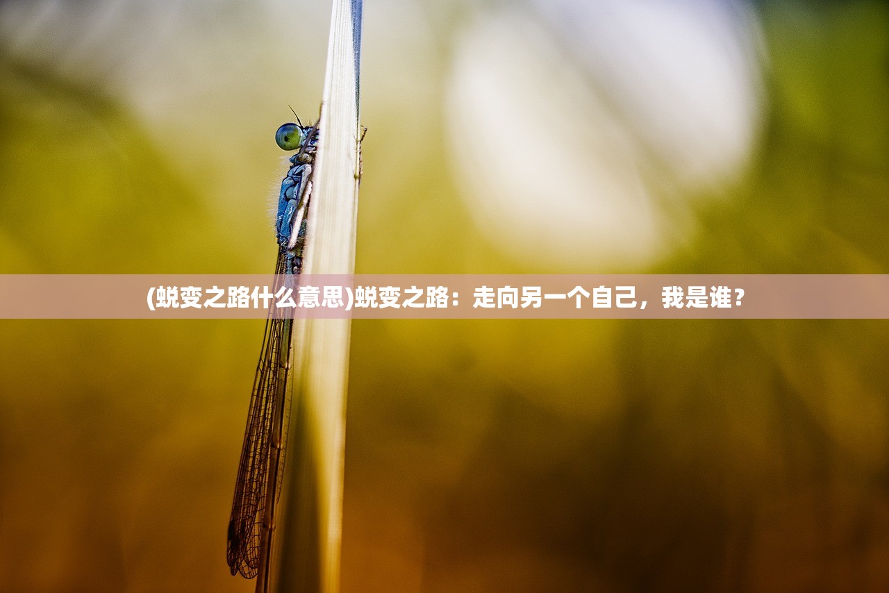 (阴阳三国志最强ssr阵容搭配)阴阳三国志最强SSR阵容揭秘与策略分析