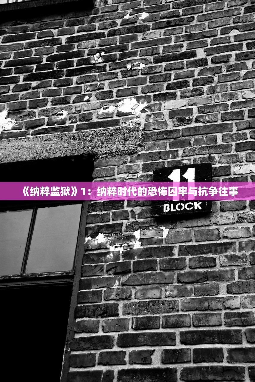 (登顶封神漫画完整版免费观看)登顶封神漫画完整版，深度解析与探讨