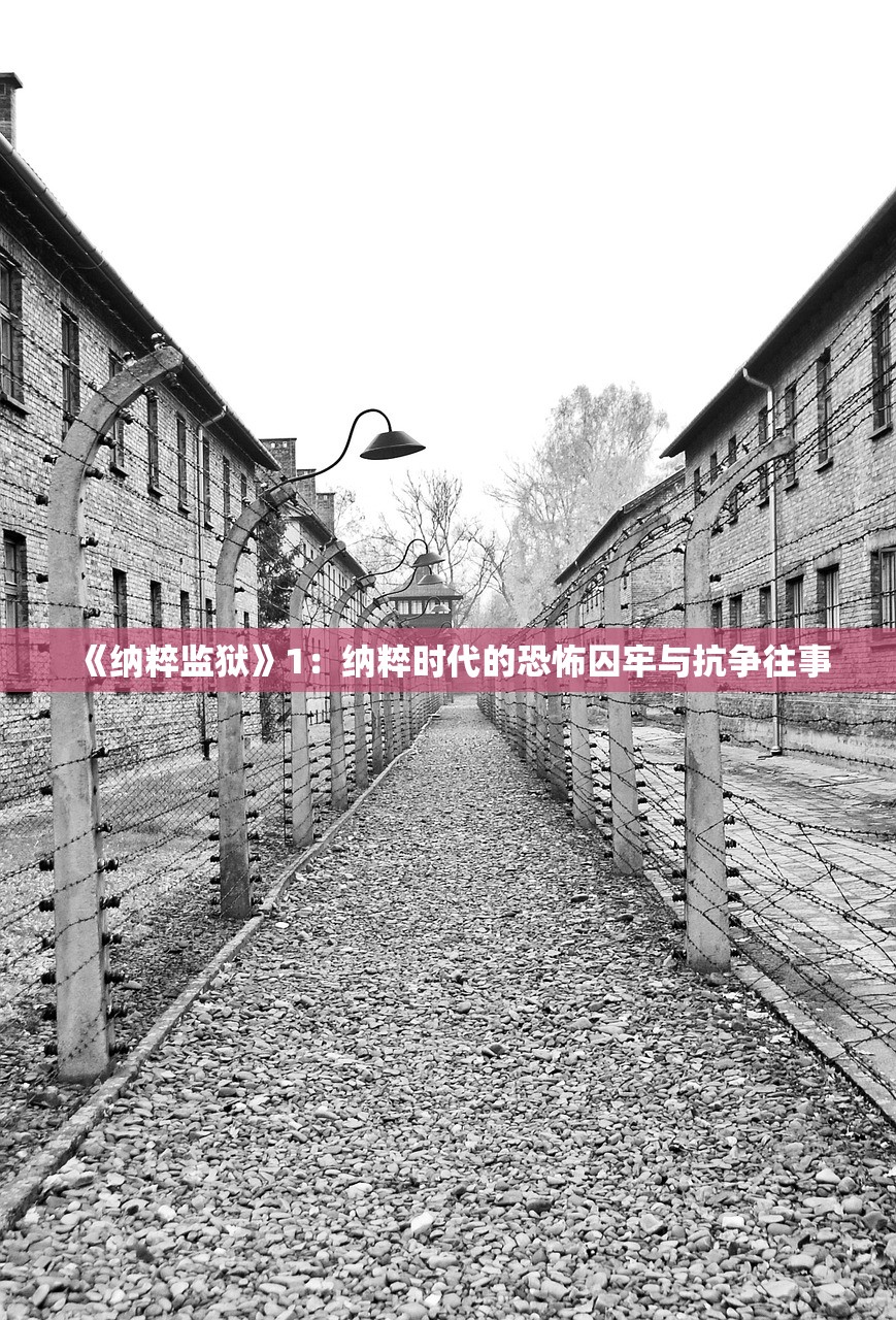 (造梦西游3单机版不联网怎么玩)造梦西游3单机版不联网，独立冒险的新体验