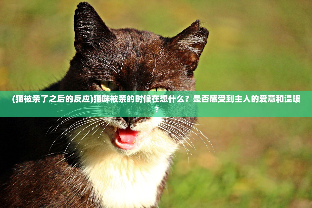 (萌萌军团重征攻略大全)萌萌军团重征攻略大全及常见问题解答