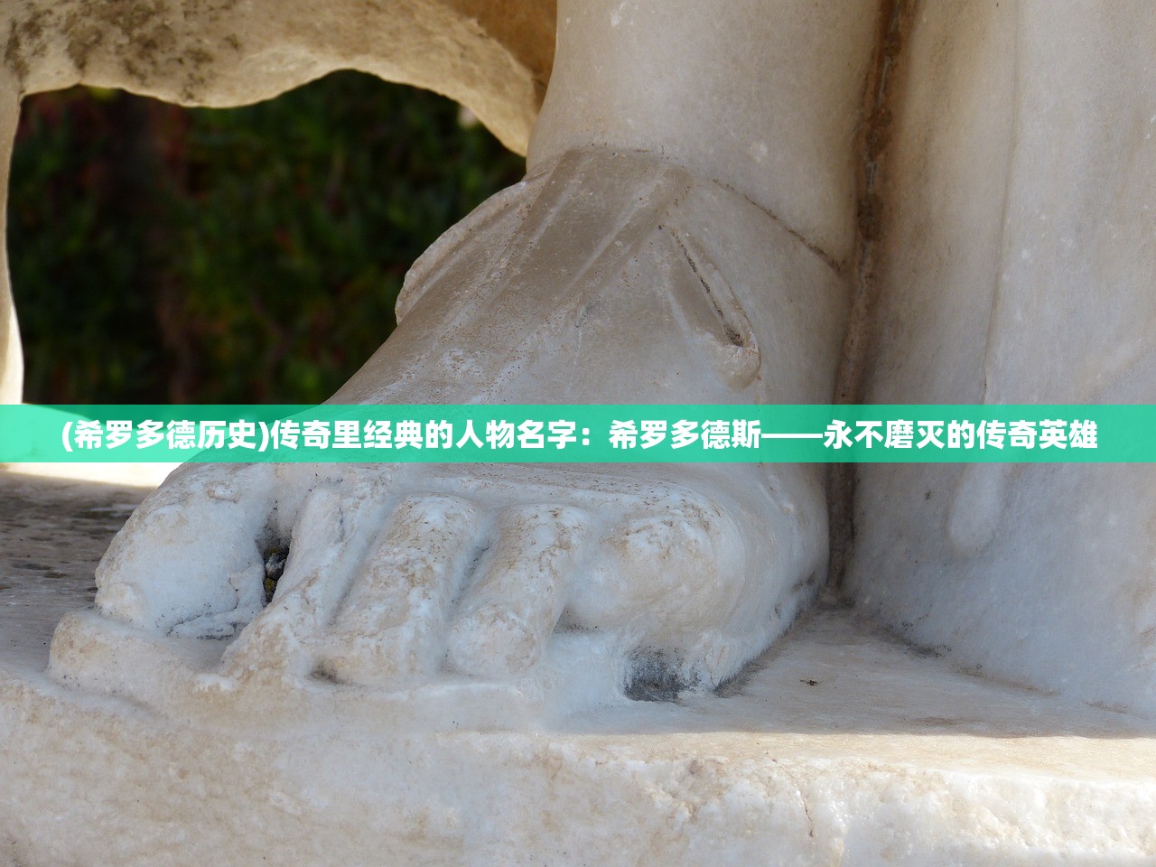 (山东男篮外援有新目标了吗)山东男篮四外援阵容确定，全新组合展望与深度分析