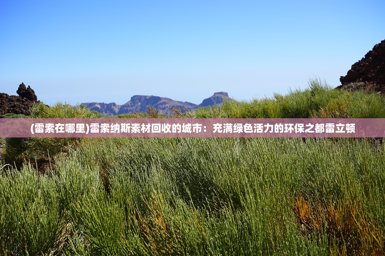(梦幻小镇大雄乐园2019)梦幻小镇大雄乐园，乐园的魅力与未来展望