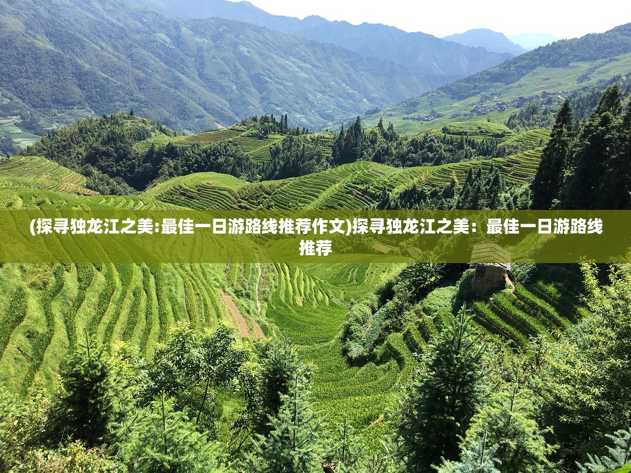 (武林战争手游论坛官网)武林战争手游论坛，深度分析与常见问答解答