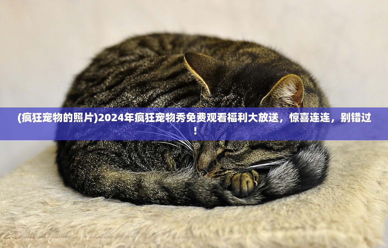 (唯武独尊小游戏怎么玩)唯武独尊小游戏，热血江湖的武侠梦