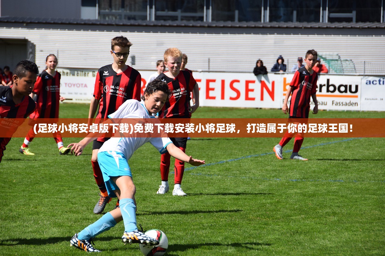 (三国人生模拟器)三国人生模拟折相思，内置菜单与策略决策的深度探索