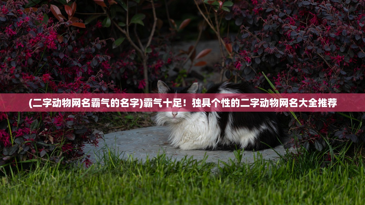 (恐龙显示)揭秘恐龙词条，探寻史前巨兽的奥秘