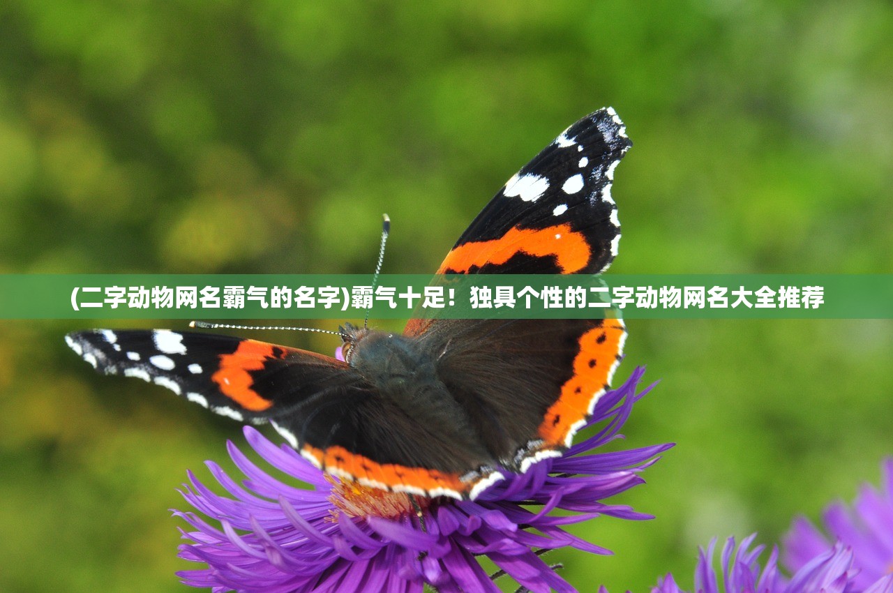 (闪亮的我们英文)闪亮的我们，无畏前行，共铸辉煌